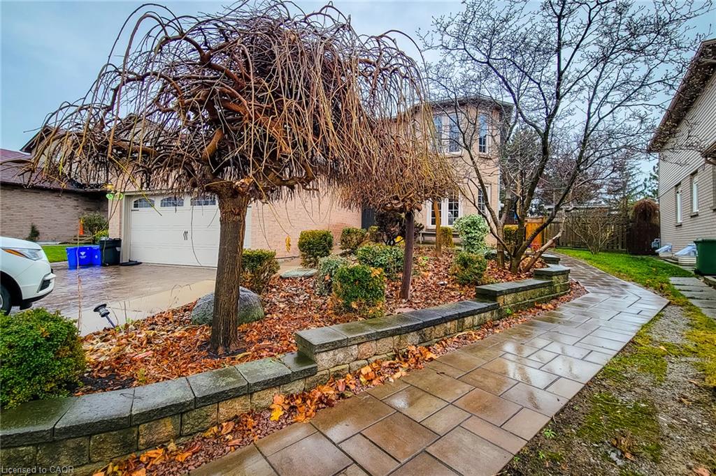 Unit 2 Lower - 102 Bonaparte Way, Hamilton 2
