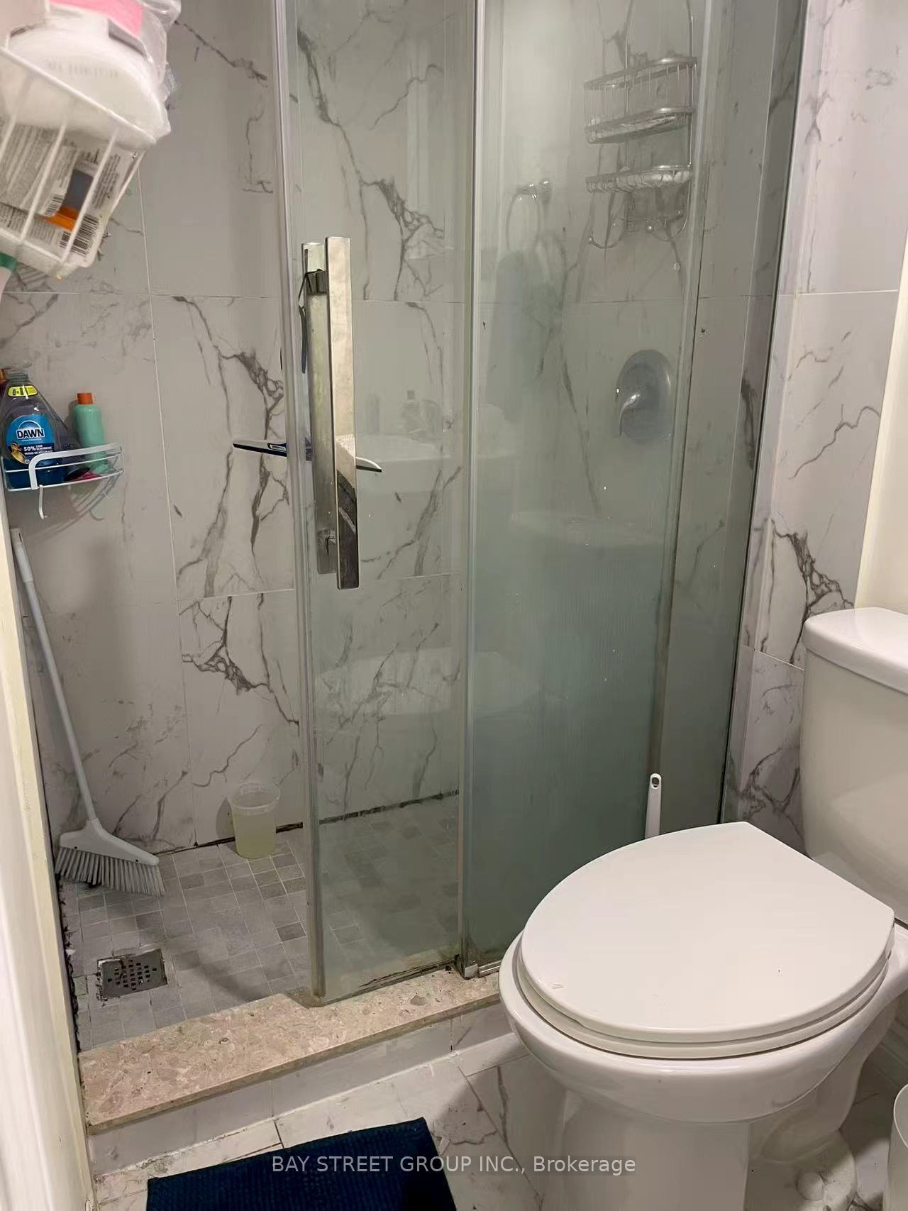 Unit Bsmt - 191 Pleasant Avenue, North York 5