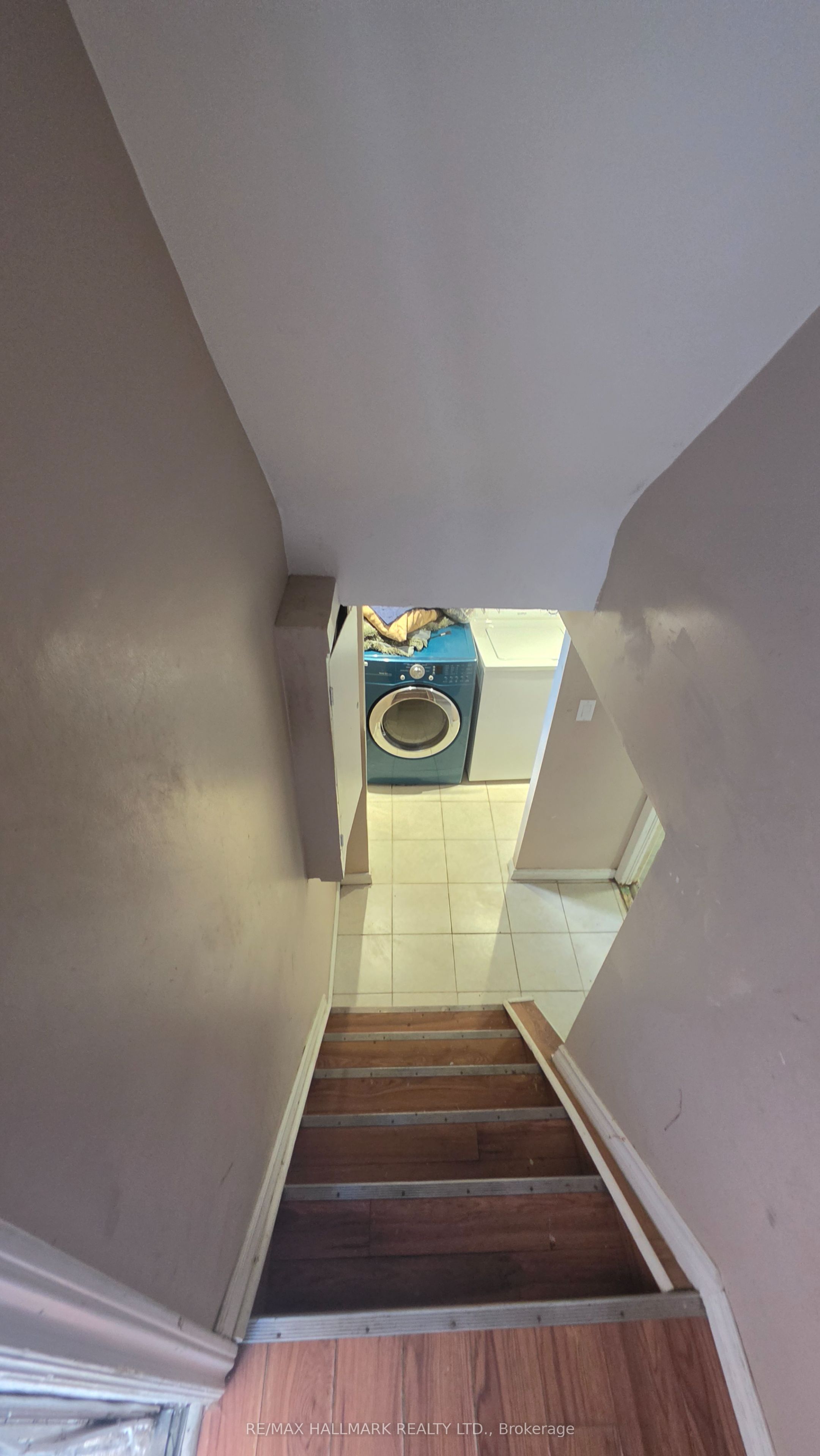 Unit Lower Level - 15 North Bonnington Avenue, Scarborough 4