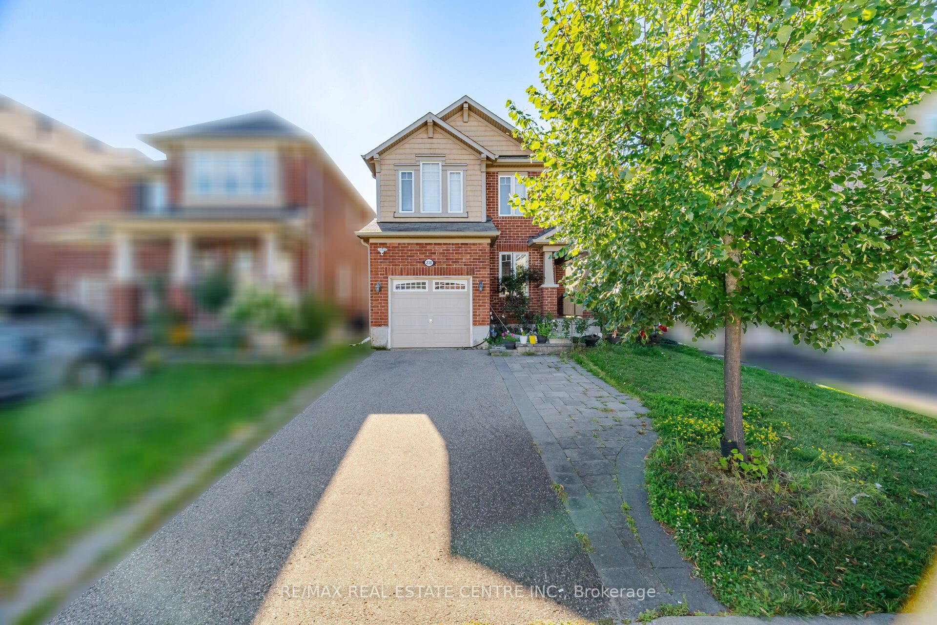 Unit Basement Only - 238 Cedric Terrace, Milton 2
